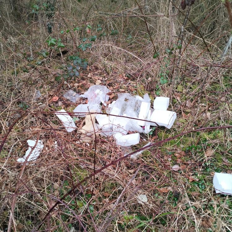Déchets d'emballage divers jetés dans la forêt au bord de la route 