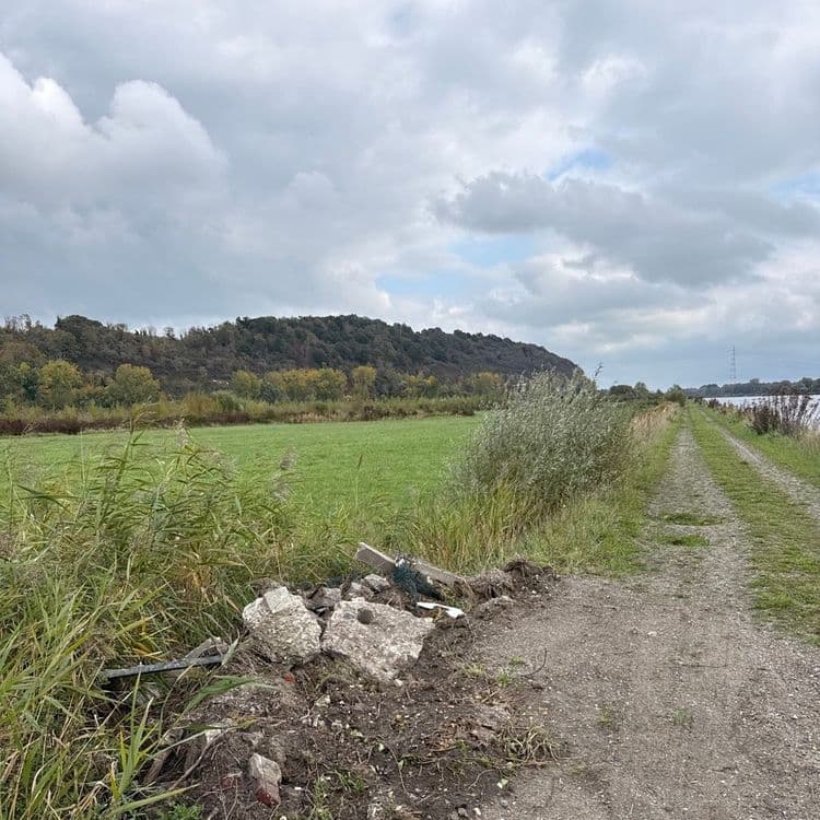 Voici une estimation des déchets présents sur le site :

Nous constatons la présence de déchets de construction, principalement des morceaux de béton, avec une estimation de poids d'environ 15 kg. On dénombre environ 5 morceaux de béton de tailles différentes.

Des déchets métalliques sont également visibles, notamment un morceau de ferraille, estimé à environ 2 kg. Il semble qu'il n'y ait qu'un seul élément de ce type.

Enfin, nous observons des déchets divers, comme des restes de plastique et de textiles, avec un poids estimé à environ 1 kg. La quantité est difficile à estimer précisément, mais il s'agit d'une petite quantité éparpillée.
