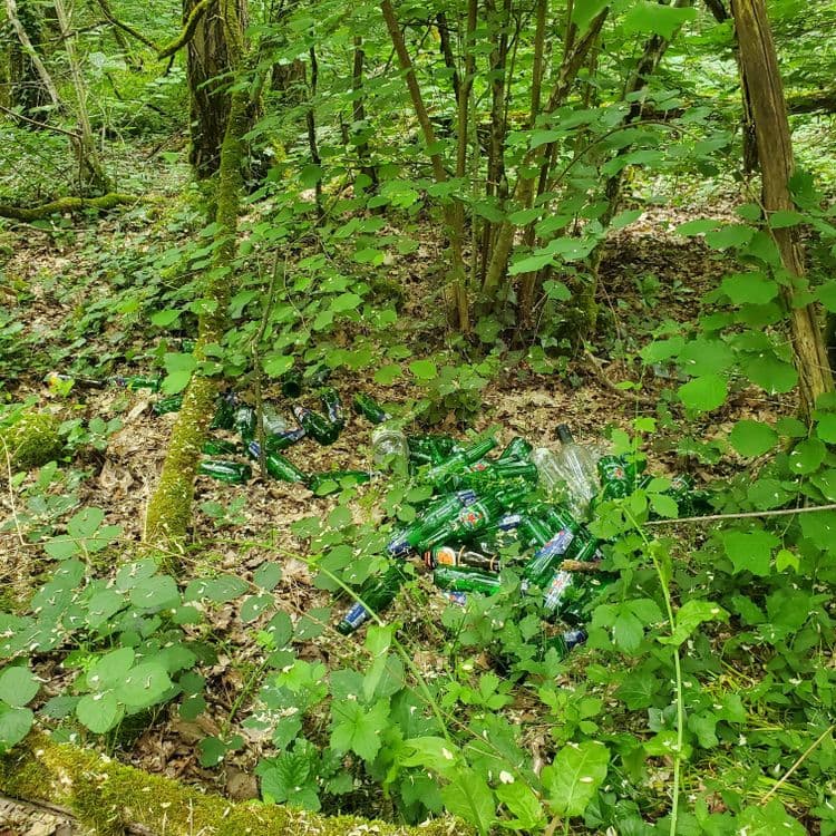 Plusieurs dizaines de bouteilles en verre