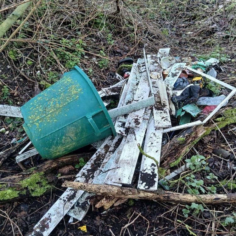 Déchets dans le bois