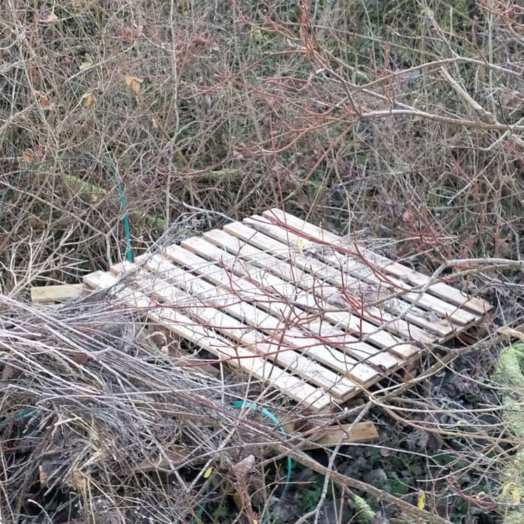 Palette, bidons, pneu usagé et déchets divers abandonnés en bordure de forêt 