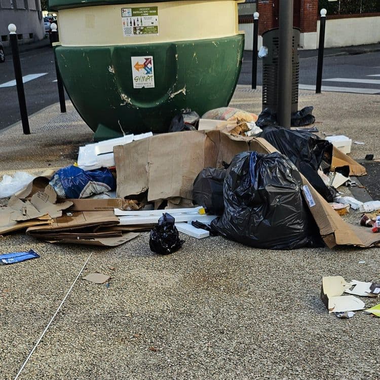 Poubelles evantrees, cartons polystyrène 