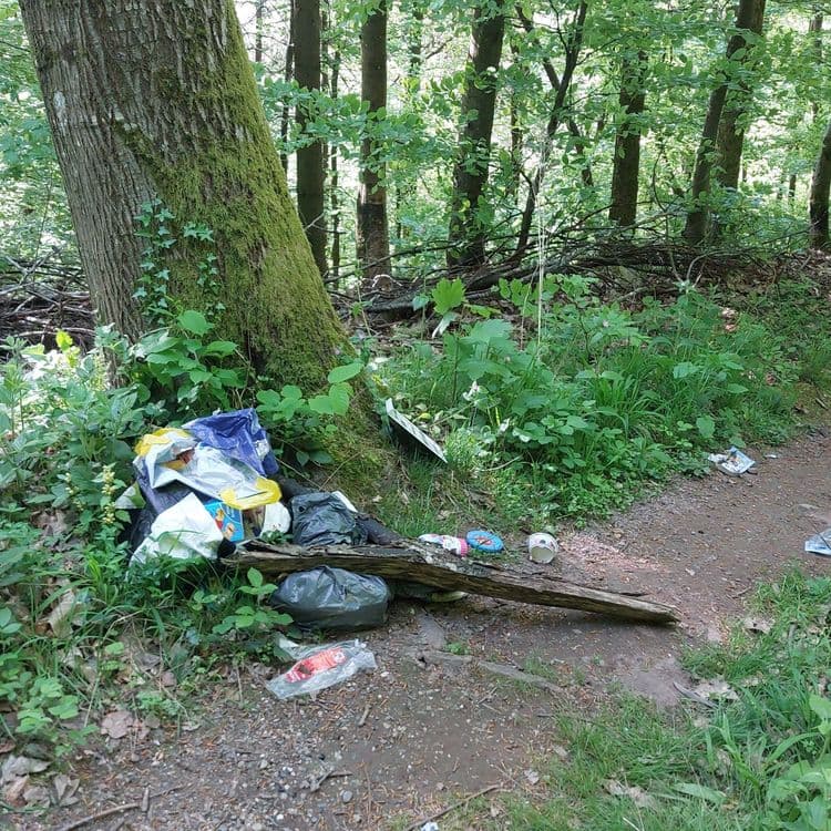 Dépôt de déchets 