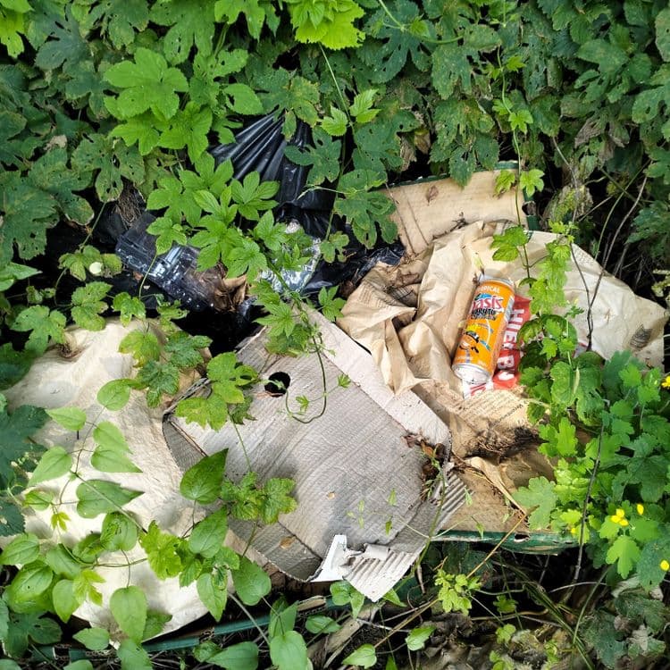 Déchets divers dans les fourrés 