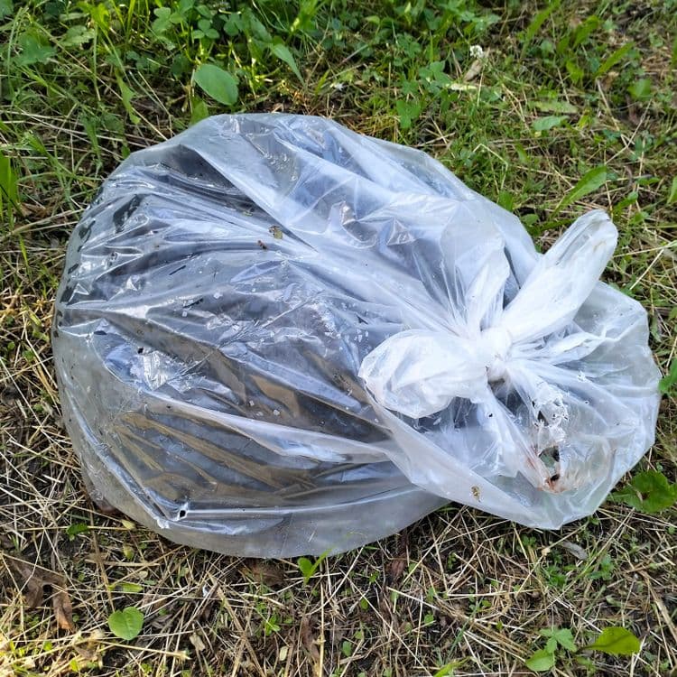 Un sac poubelle au bord d'une petite route 