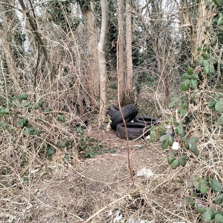 Pneus usagés et une jante abandonnés dans un bois à côté de l'autoroute 