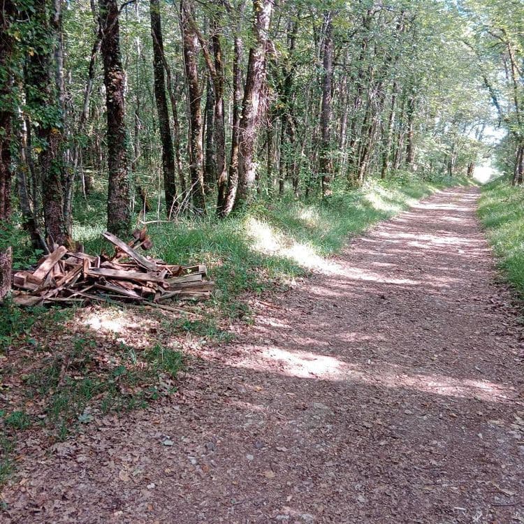 Palettes entièrement disloquées de chaque côté du chemin, poteaux qui semblent être d'anciennes clôtures en bois. La déchetterie est à 500 mètres, de l'autre côté de la route.