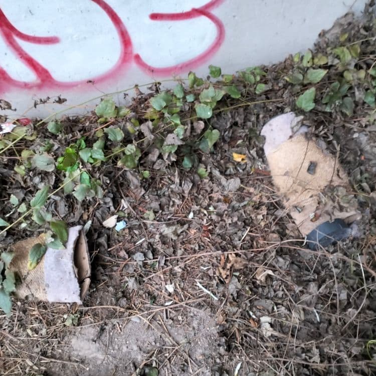 Déchets divers à proximité d'un portail d'accès à une emprise ferroviaire 