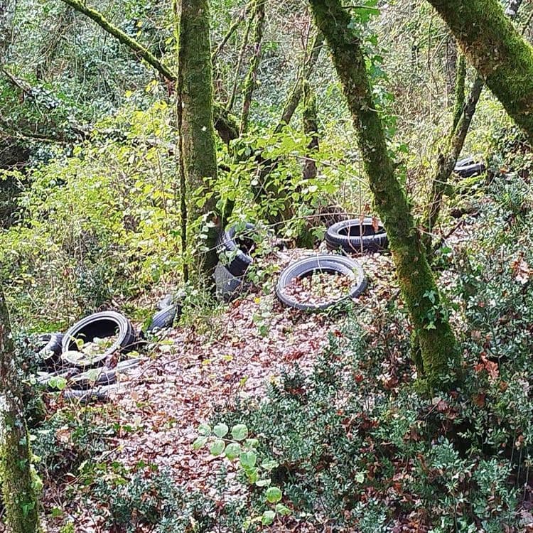 Dépôt d'au moins une vingtaine de pneus en contrebas du petit chemin 