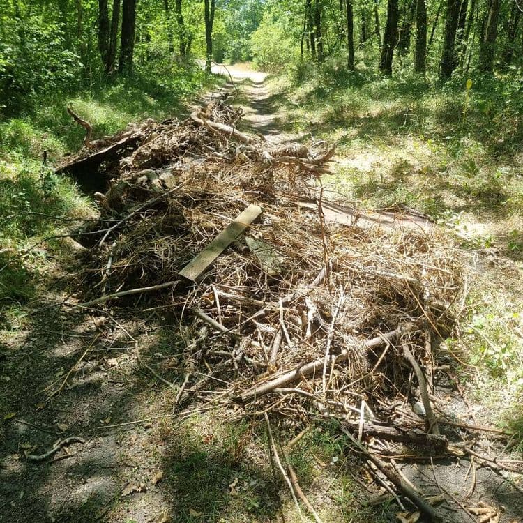 Tas de branchages et plaques métal sur chemin