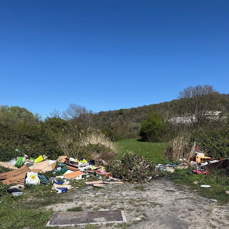 Voici l'analyse des déchets présents sur l'image :

**Cartons:** Une quantité importante de cartons, probablement issus d'emballages divers, est visible. On peut estimer le poids total de ces cartons à environ 25 kg, répartis sur une dizaine de pièces.

**Déchets verts:** Une grande quantité de déchets verts, vraisemblablement des branches et des résidus de taille, est présente. Le poids de ces déchets verts est estimé à environ 30 kg.

**Plastiques divers:** Une variété de déchets plastiques est visible, incluant des sacs, des emballages alimentaires, et potentiellement des jouets cassés. Le poids total de ces plastiques est estimé à environ 10 kg, répartis sur une quinzaine d'articles.

**Déchets ménagers:** Divers déchets ménagers sont présents, comme des restes de nourriture, des papiers, et des emballages. Leur poids est estimé à environ 8 kg.

**Objets encombrants:** Un ou deux objets encombrants, potentiellement un jouet d'enfant abîmé, sont également présents. Leur poids combiné est estimé à 5 kg.

**Autres déchets:** Des déchets divers non identifiables précisément sur l'image sont également présents. On peut estimer leur poids à environ 2 kg.
