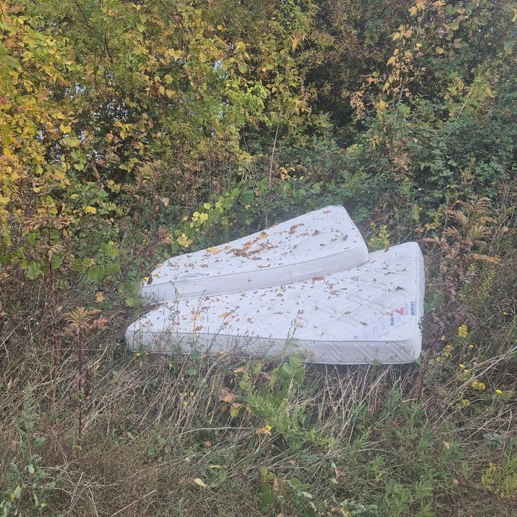 Analyse des déchets présents sur l'image :

Deux matelas ont été abandonnés. On peut estimer le poids d'un matelas standard à environ 20 kg. Donc, le poids total des matelas est estimé à 40 kg.
