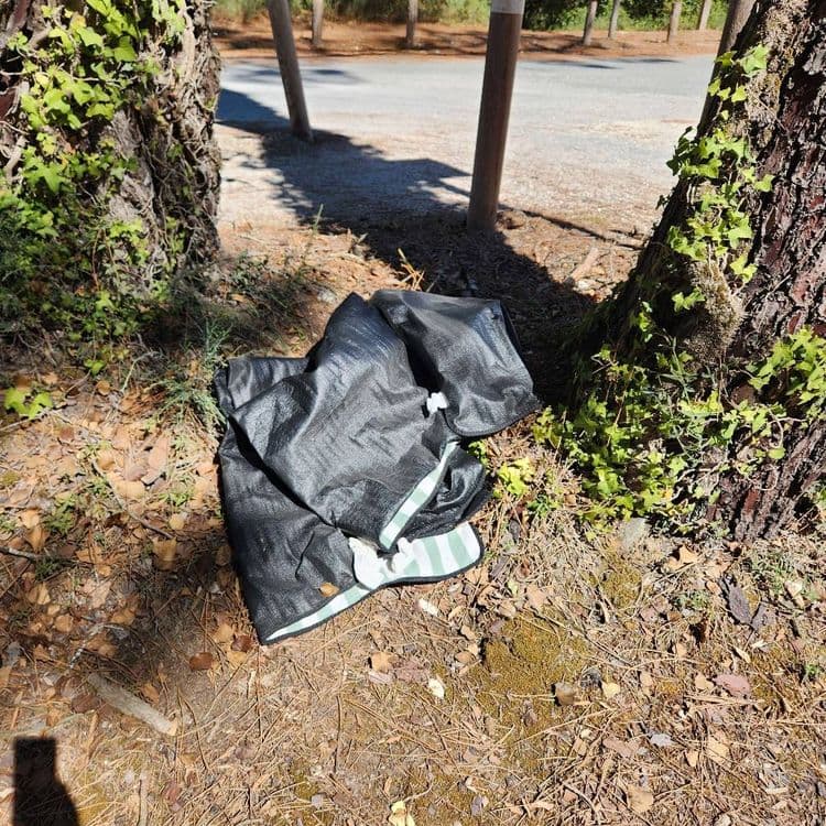 Plusieurs dépôts sur le parking de la plage de boyardville : : d'ordures ménagères,  sac éventrés et dépôts de sac de crottes de chiens, et autres déchets. !? 