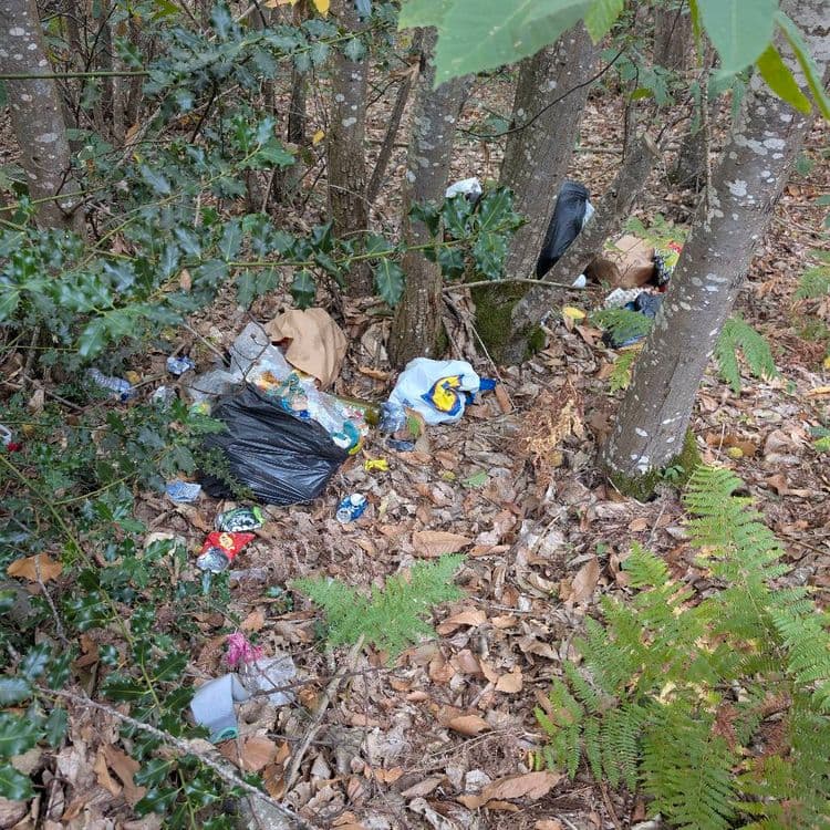 Dépôt sauvage de déchets ménagers 