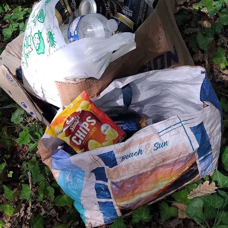 Deux sacs contenant canettes et emballages + carton contenant canettes et petit matériel équipement maison + 1 sac plastique fermé contenu non identifié 