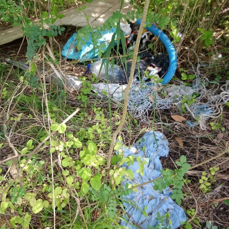 Plastique, bouteille, bois, tissus