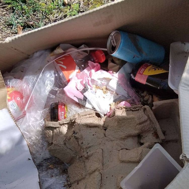 Carton en bordure de vignes : déchets plastiques, bouteille de verre. Etc . Petit volume. Récupérable en voiture. 