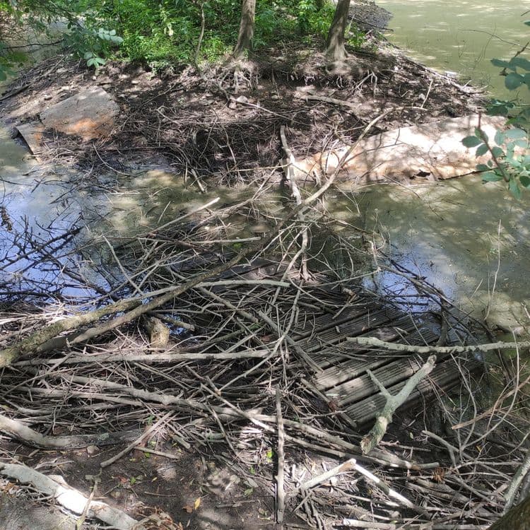Tole en ferraille ds la rivière, barrière en bois...
Sur le sentier de découverte de l'aulme !!!