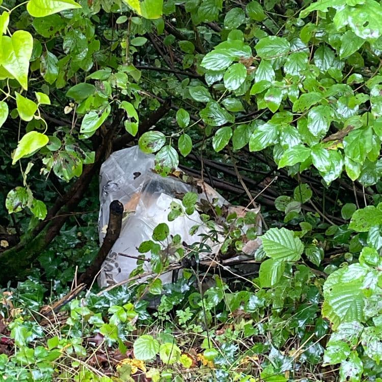 Déchets ménagers 