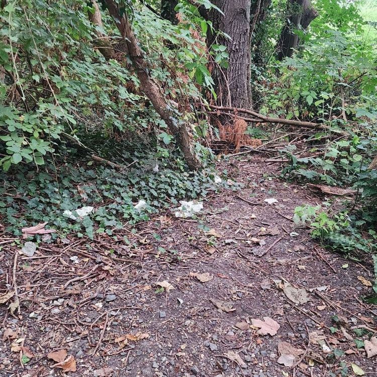 Les déchets abandonnés sur ce site sont principalement quelques détritus divers.


quelques petits détritus non identifiables, de l'ordre de 3 à 5 fragments, sont dispersés. Leur poids total est estimé à environ 0,01 kilogramme.