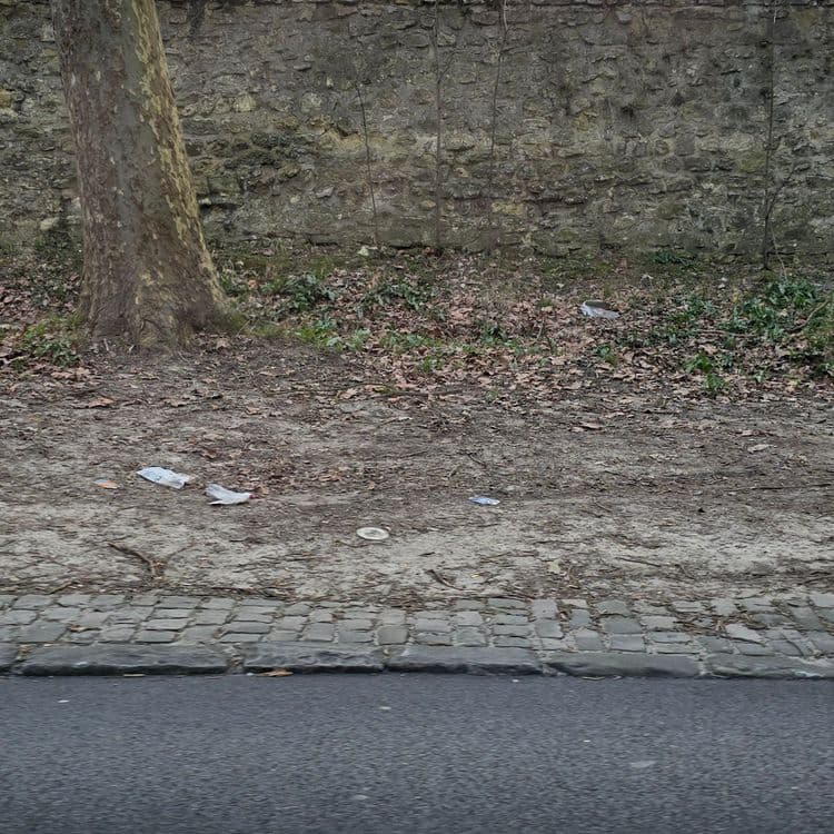 Déchets présents tout le long de la descente du parc.