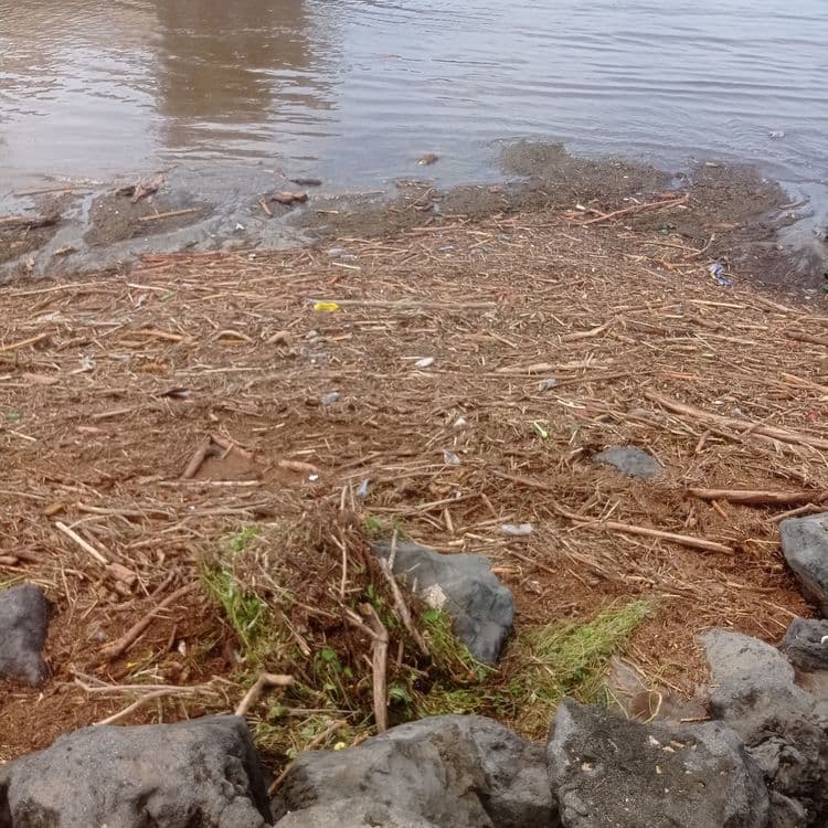 Ravine qui a coulé durant le cyclone Garance, de nombreux dechets presents à l'embouchure de la Ravine dont de nombreux pneus et bouteilles plastiques.