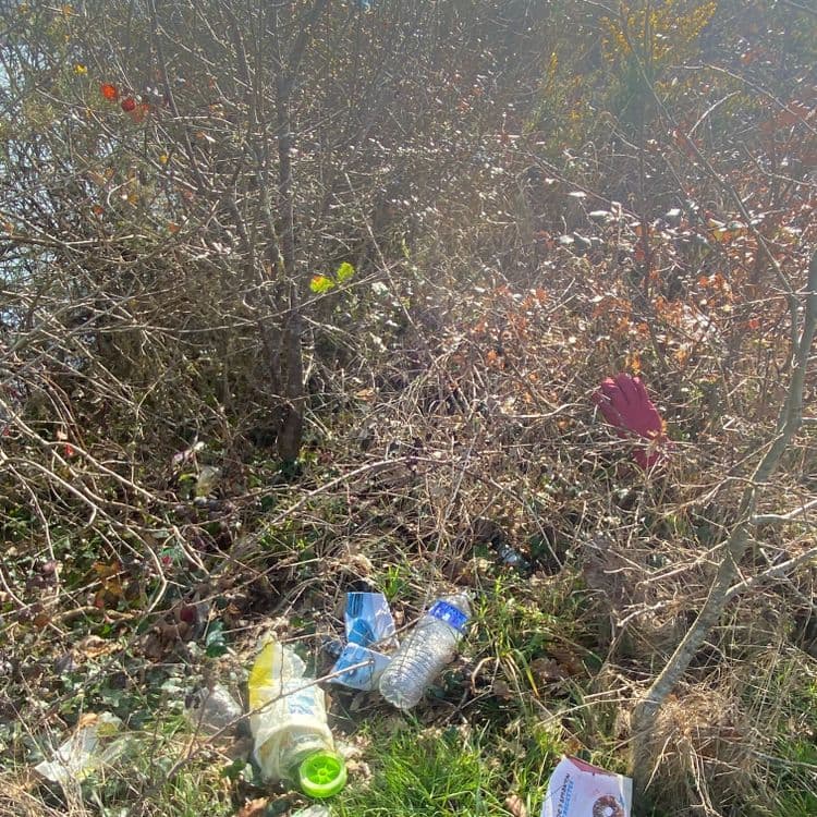 Divers détritus recyclage. Faible volume.
