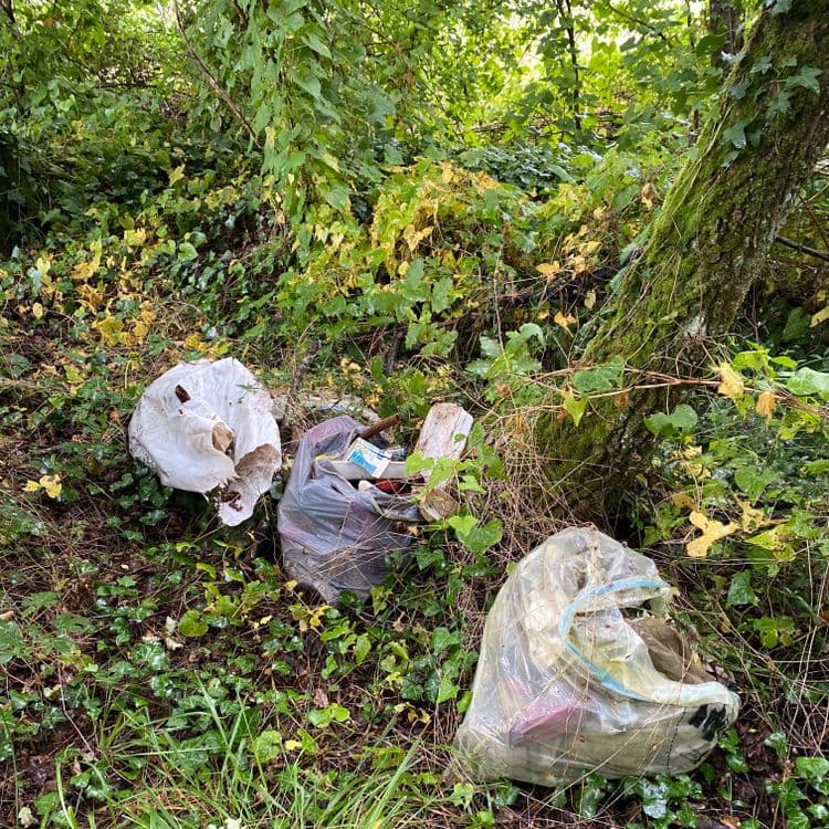 Sac de déchets à l’entrée du petit bois 