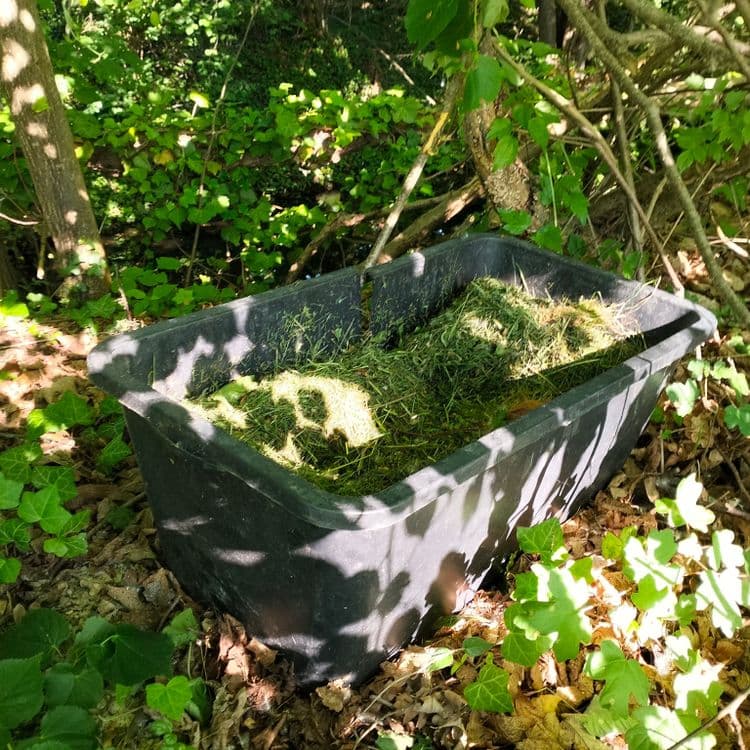 Déchets divers abandonnés au bord de la route et à proximité du Rhin 