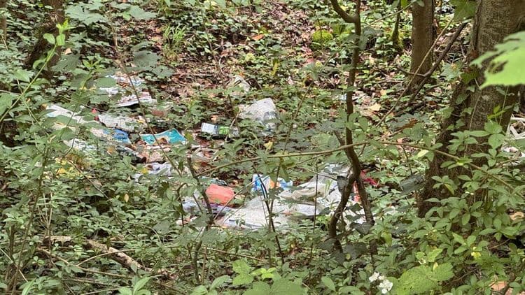 Petits déchets divers cachés sous les arbres sur la gauche du chemin lorsque l’on rentre dans le bois. 

Coordonnées précises :
49.488992, 3.031075