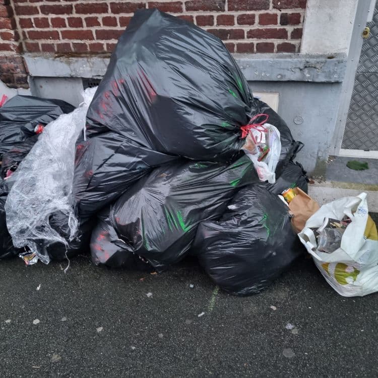 Dépôts sauvages de sacs