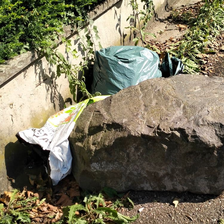 Sacs poubelles à côté d'une aire de lavage pour voiture 