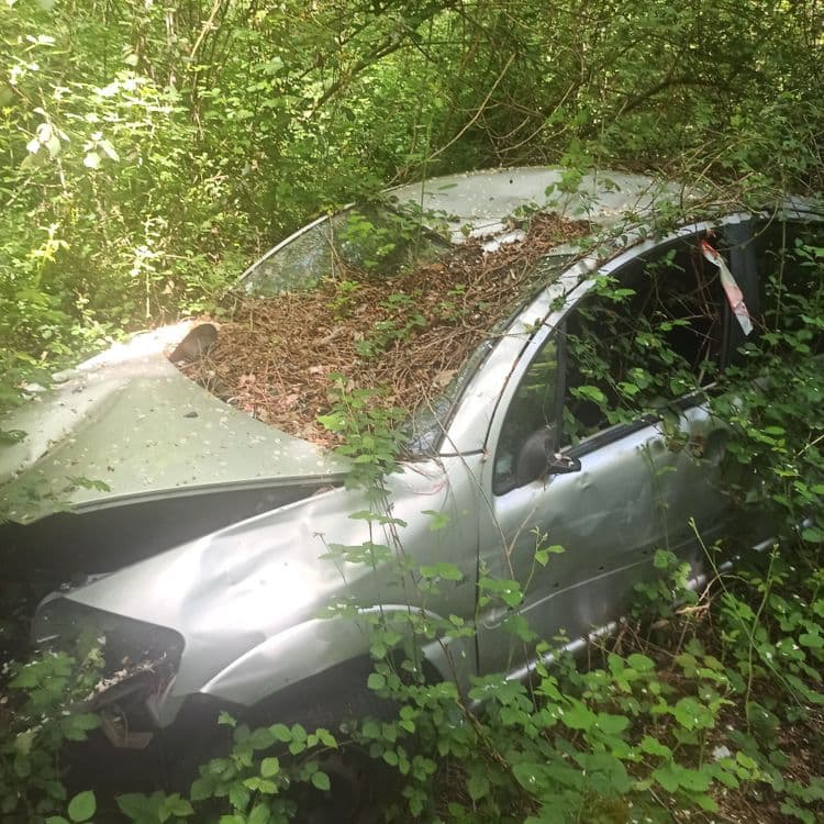 Carcasse de véhicule accidenté abandonné dans un sous-bois. Présent depuis quelques années suite accident. Jamais retiré par un dépanneur. 