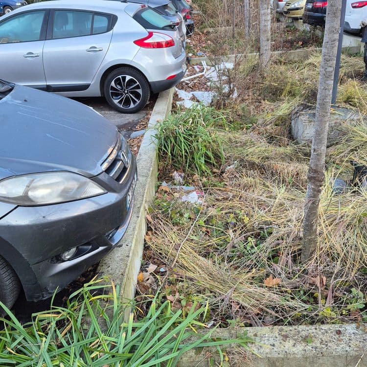 Depo  contre-plaqué  dans une nou 