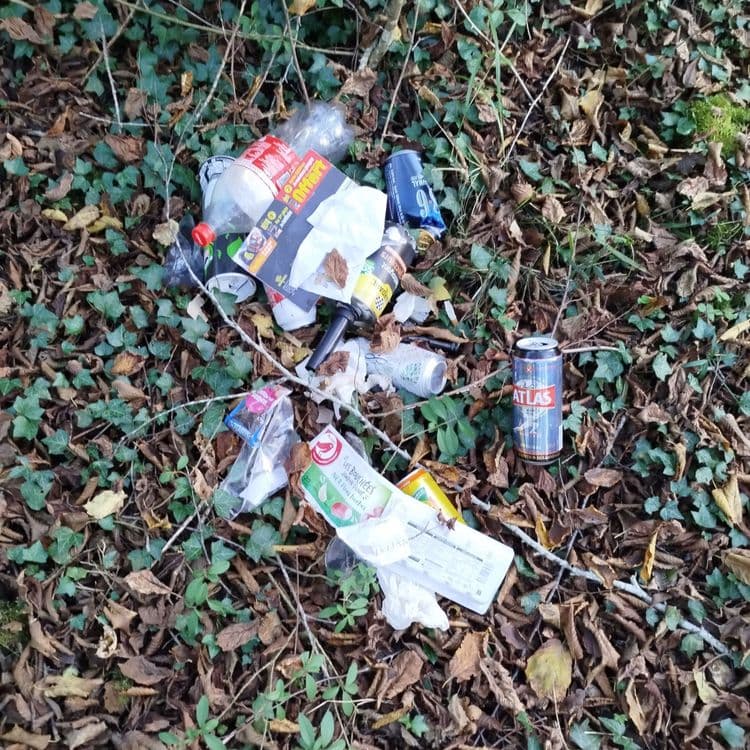 Dépôt restes alimentaires en plastique et produits ménagers 