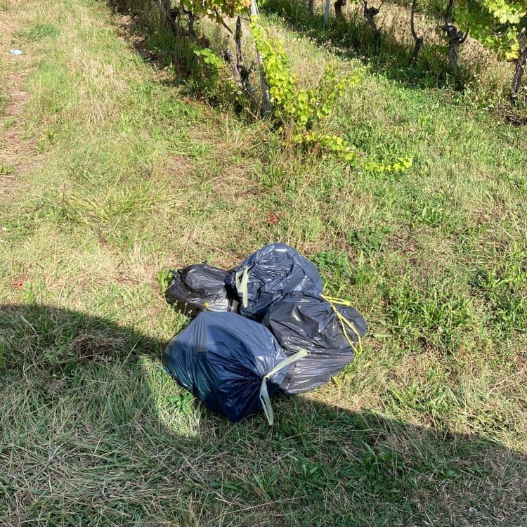 Sac poubelles abandonné 