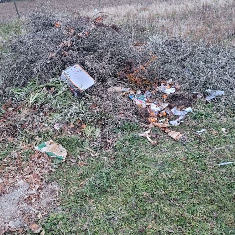 Dépôt sauvage de branches et déchet en tout genres sur terrain agricole
