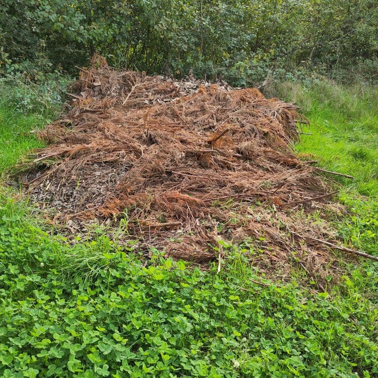 Voici l'analyse des déchets présents sur les photos :

**Déchets verts :**

*   Feuilles (principalement de laurier) : Estimé à environ 50 kg, correspondant à un volume important.
*   Branches et brindilles sèches : Environ 30 kg, réparties en plusieurs tas.
*   Résidus de conifères : 25 kg, formant un amas distinct.
*   Herbe coupée : 10 kg, mélangée aux autres déchets verts.

**Déchets non organiques :**

*   Sacs en plastique : Présence de 2 sacs en plastique, pesant environ 50 grammes.
*   Déchets divers (non identifiables précisément) : Une quantité limitée, estimée à 200 grammes.
