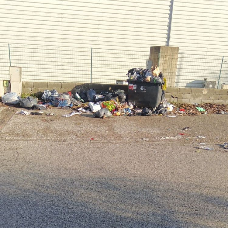 Un mélange de plusieurs poubelles.
