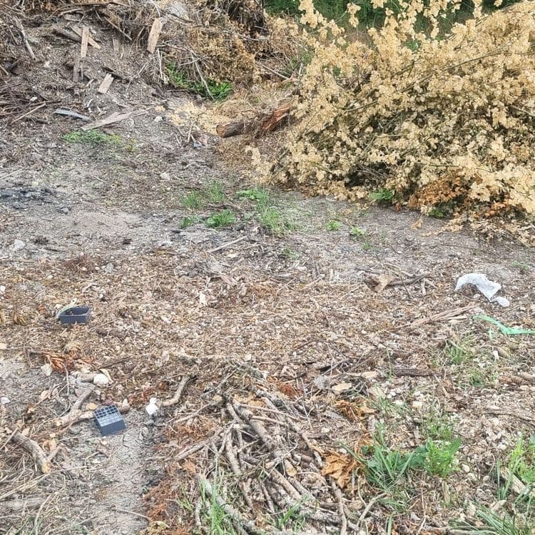 Tas de déchets plastiques et verts régulièrement alimenté, puis poussé dans la forêt 