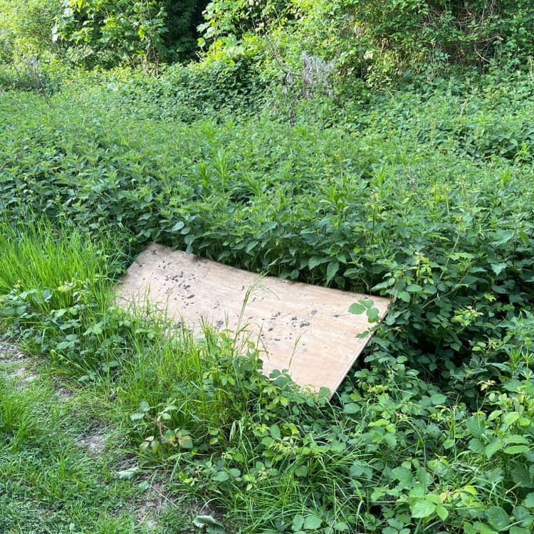 Planche en bois déposée en bord de sentier