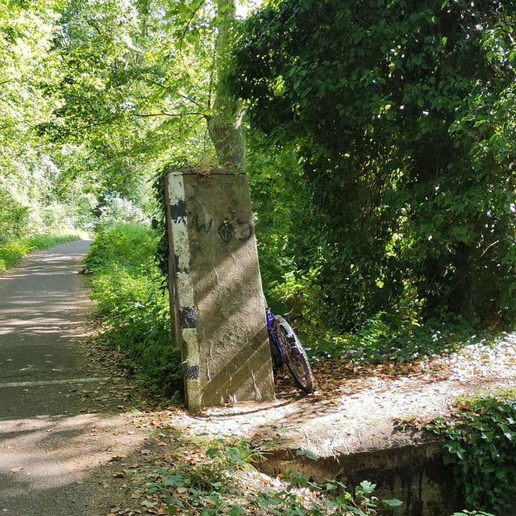 Carcasse de vélo abandonnée depuis plusieurs semaines. 