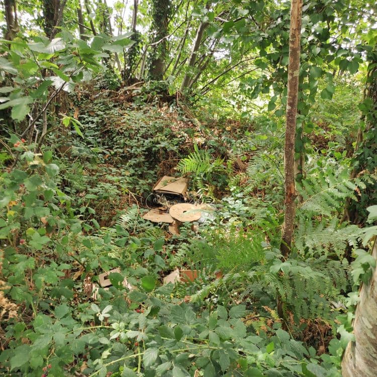 Décharge sauvage le long d'un chemin pdipr