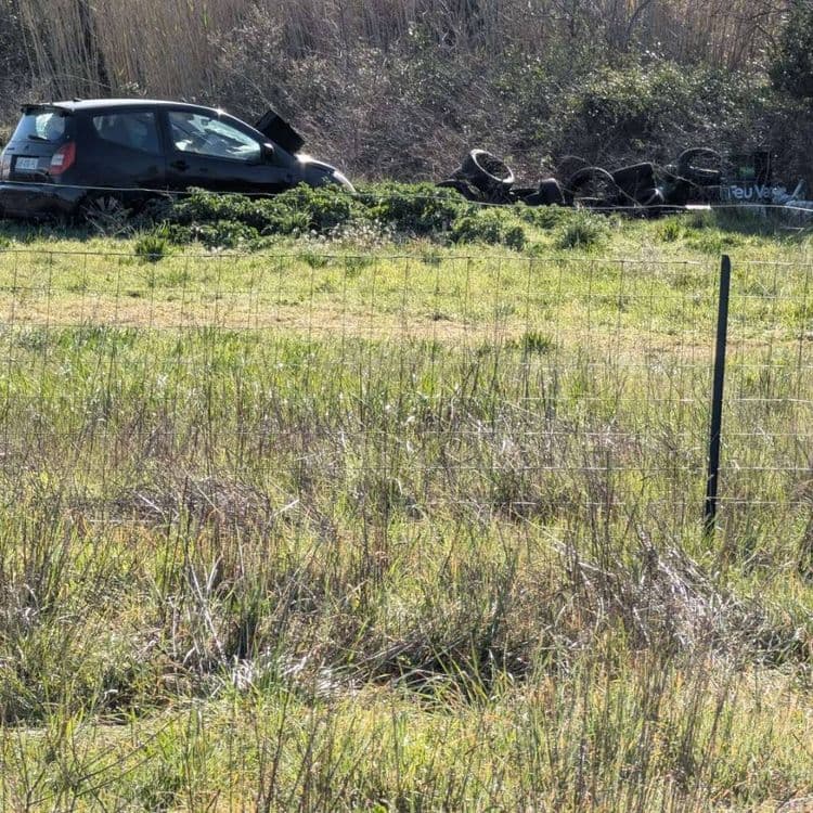 Réparation automobile, casse et stockage le tout sur un terrain agricole. 