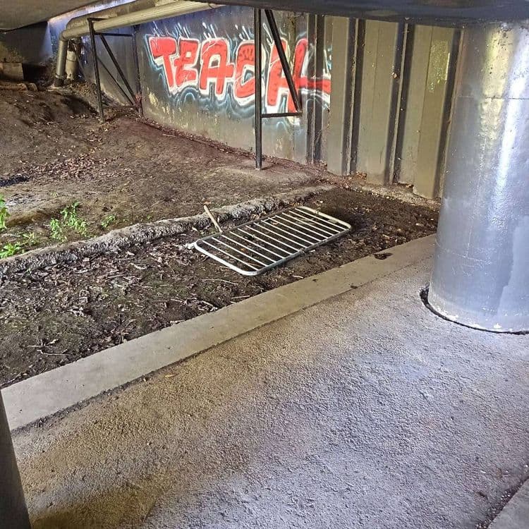 Voici le relevé des déchets présents sur le site :

Une grille métallique est présente, estimée à 1 unité pour un poids d'environ 3 kilogrammes.
Des débris végétaux, principalement des feuilles mortes et quelques petites branches, couvrent une surface d'environ 4 mètres carrés, pour un poids total estimé à 8 kilogrammes.
Un morceau de bois isolé est également visible, d'un poids estimé à 0,2 kilogramme.