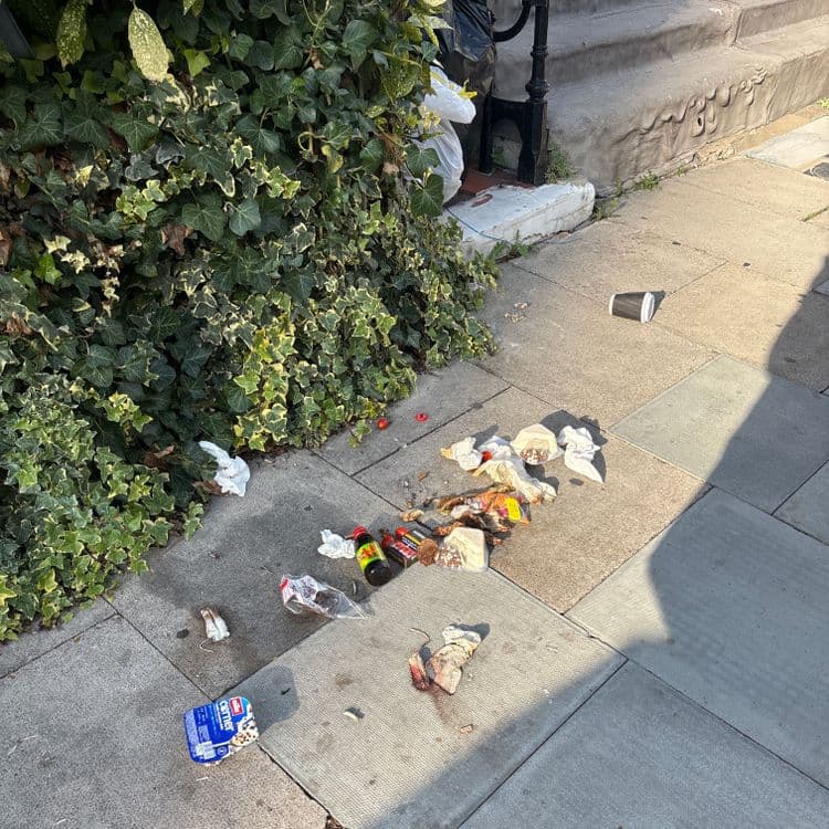 Voici une estimation des déchets présents sur l'image :

*   **Déchets alimentaires:** Restes de nourriture emballés (sandwichs, plats préparés) : environ 0.5 kg pour 5 unités
*   **Emballages plastiques:** Bouteilles, pots de yaourt, barquettes : environ 0.2 kg pour 3 unités
*   **Déchets de papier/carton:** Serviettes en papier, emballages divers : environ 0.1 kg pour 5 unités
*   **Déchets liés au tabac:** Paquets de cigarettes, mégots : environ 0.05 kg pour 1 unité de paquet de cigarette et 3 mégots
*   **Canette/Gourde:** Environ 0.1 kg pour 1 unité
*   **Divers:** Gobelet à café : environ 0.02 kg pour 1 unité.
*   **Organique** Environ 0.2 kg pour 2 unités