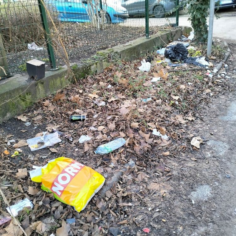 Déchets divers jetés au bord d'une route d'accès privée 