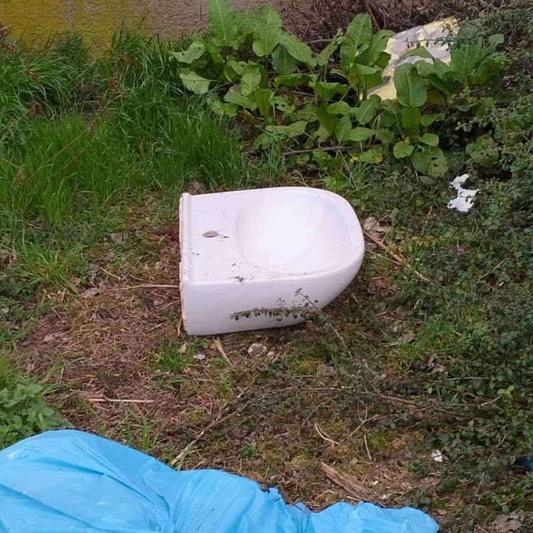 Gravats du bâtiment et un lavabo abandonnés dans un fourrée 