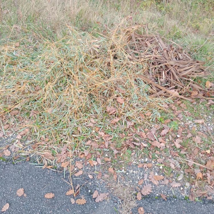Bambous coupés et posés en tas à l'entrée d'un chemin à la sortie de moutiers-sur-boème. La déchetterie est à 2 km et il suffit de passer le pont pour trouver les poubelles du cimetière qui acceptent les déchets verts. Pas trop envie de se bouger mais c'est un peu la spécialité de ce village.