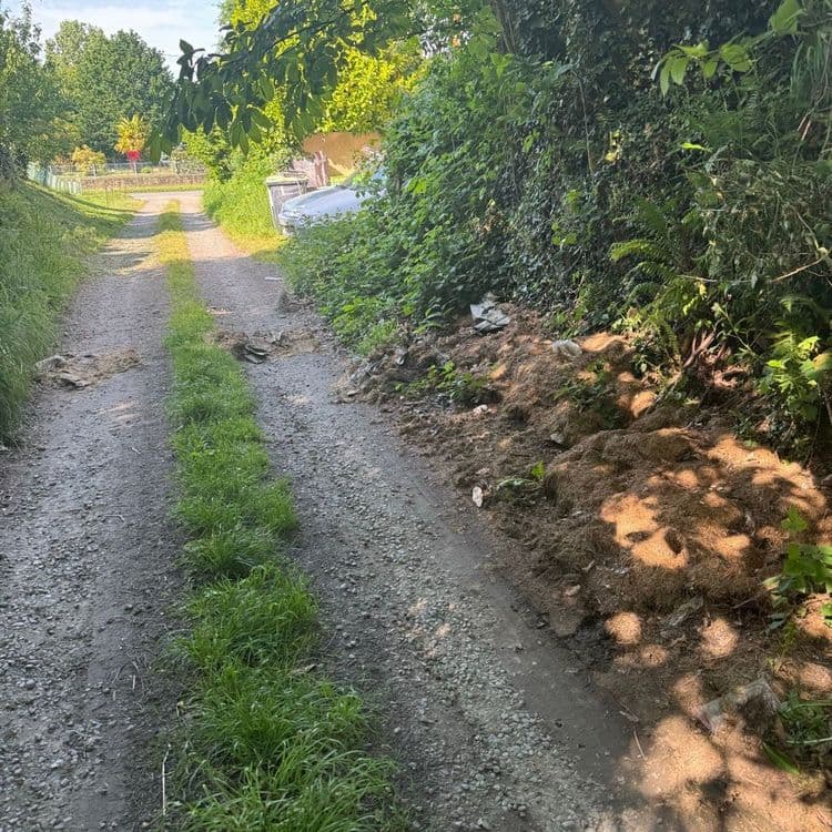 Détritus contenant du plastique et des gravats déposés au milieu de la route pour faire une sorte de ralentisseur. Et dépôt de tonte de gazon sur le talus 
